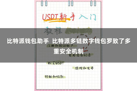 比特派钱包助手  比特派多链数字钱包罗致了多重安全机制